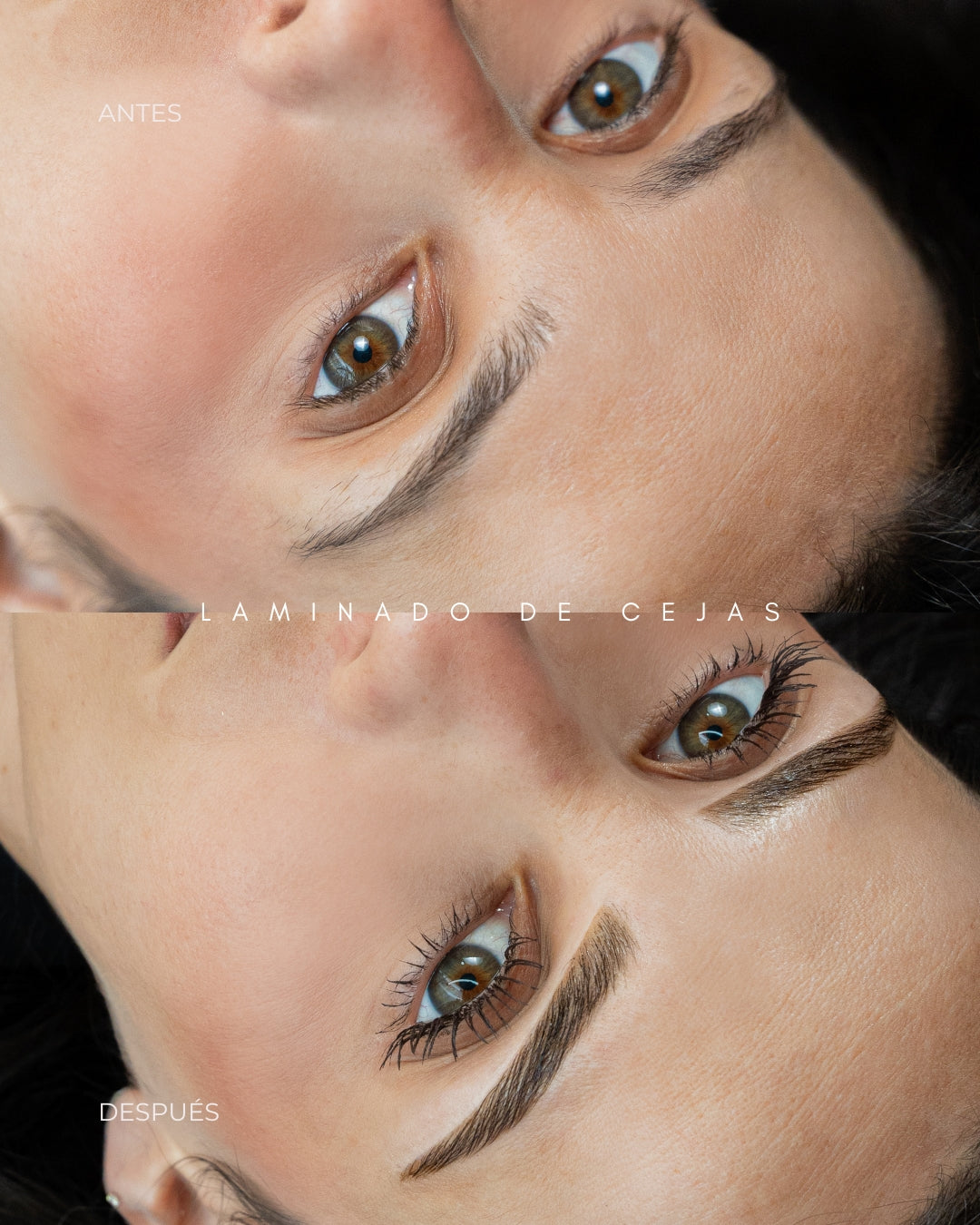 Laminado de Cejas