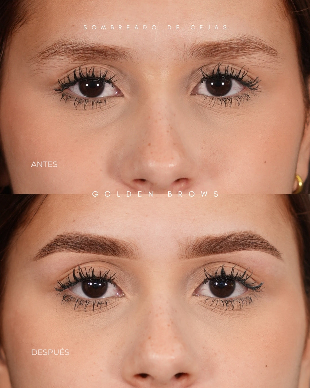 Sombreado de Cejas