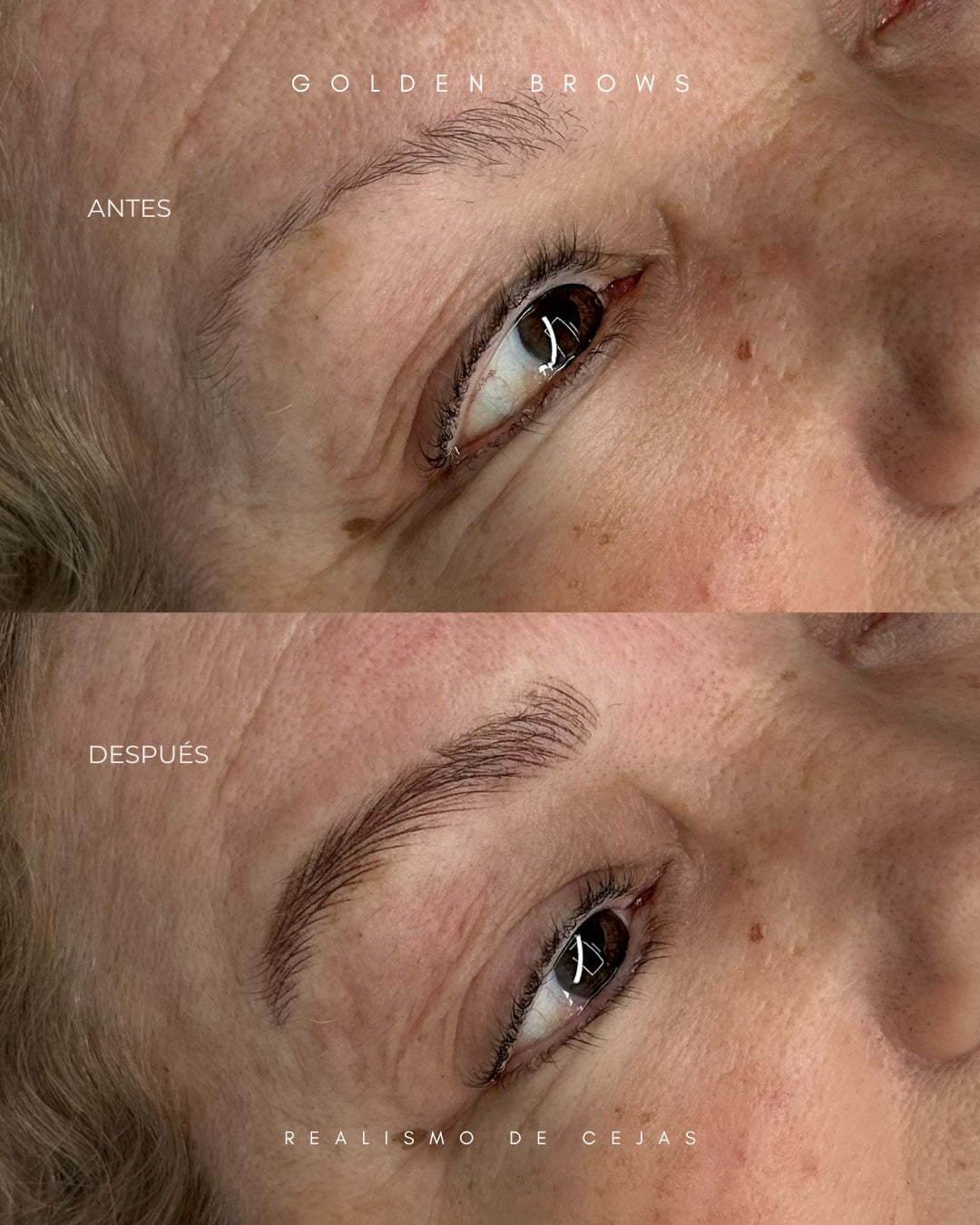 Realismo de Cejas