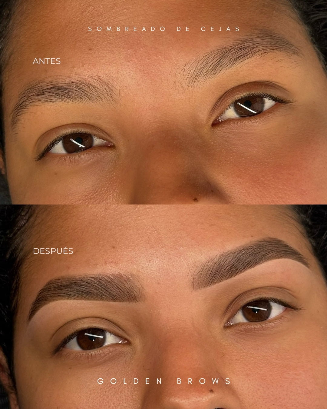 Sombreado de Cejas