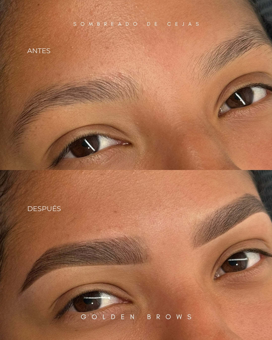 Sombreado de Cejas