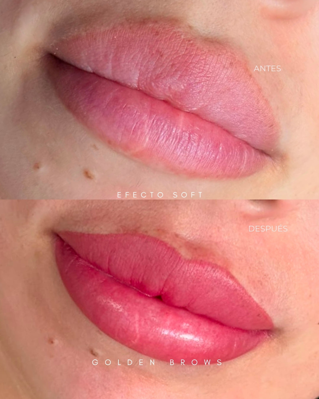 Microlips Soft