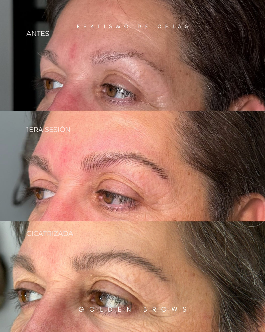 Realismo de Cejas